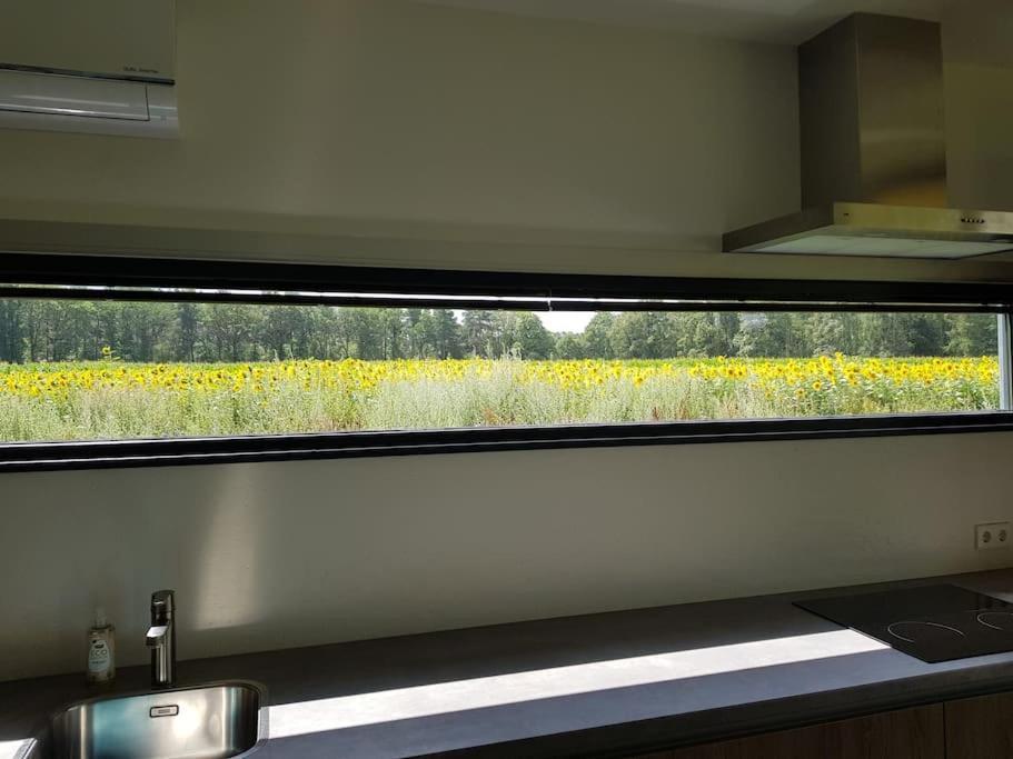 Sfeervol Chalet Midden In De Natuur Halle Zewnętrze zdjęcie