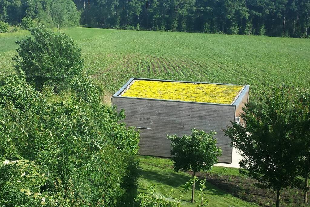 Sfeervol Chalet Midden In De Natuur Halle Zewnętrze zdjęcie