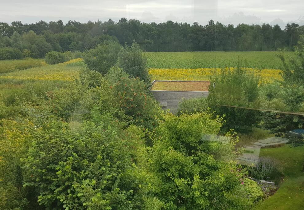 Sfeervol Chalet Midden In De Natuur Halle Zewnętrze zdjęcie
