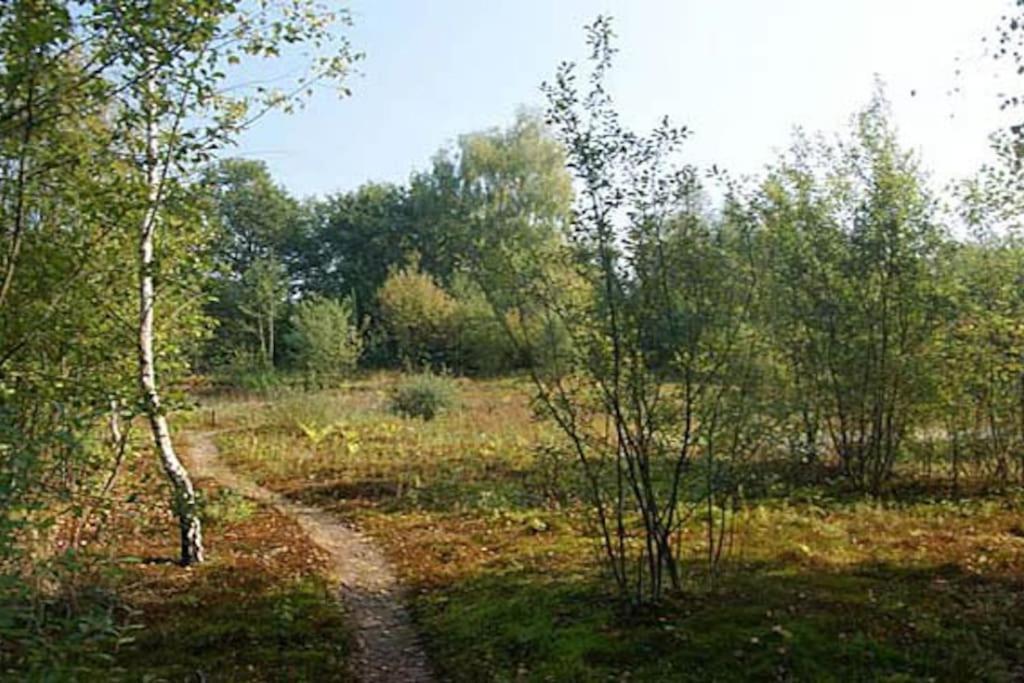 Sfeervol Chalet Midden In De Natuur Halle Zewnętrze zdjęcie
